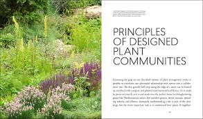 L andscape architect thomas rainer doesn't ask a plant for its passport before making space for it in a garden, but he does take inspiration from the layered structures of native and naturalistic plant communities to make designs that work visually and functionally. Rainer T Planting In A Post Wild World Designing Plant Communities For Resilient Landscapes Amazon De Rainer Thomas West Claudia Fremdsprachige Bucher
