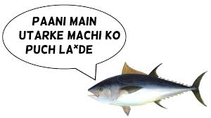 marathi name of tuna fish image
