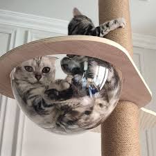 e capsule cat tree hammock bowl add