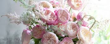 rose care parfum flower company