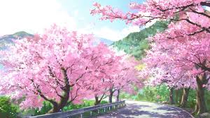 anime cherry blossom landscape