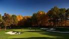 Metro Detroit Top 10 Golf Courses: Serene Shepherd