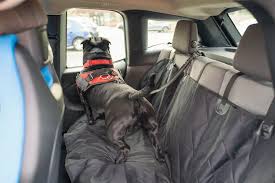 Best 10 Car Seat Cover For Pets