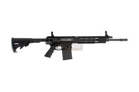 carabine ruger sr 762 calibre 308 win