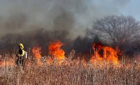 Más de 80 fuegos se extienden por. Ignicion Combustible Sequia Y Tiempo Apropiado Los Ingredientes De Los Grandes Incendios Forestales