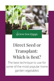 Direct Seed Vs Transplant Choosing The