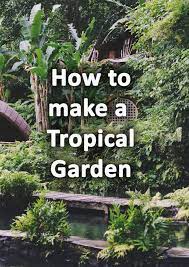 How To Make A Tropical Garden Design