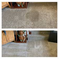 carpet cleaning in millon oh