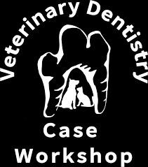 The Veterinary Dentistry Interactive Case Workshop Avdc