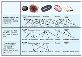 Complex food webs support diverse ecosystems. Food Web Concept And Applications Learn Science At Scitable