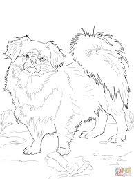 Poodle, smart dog, with complex and beautiful patterns. Poodle Coloring Page Free Printable Coloring Pages Coloring Home