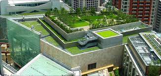 Knowing Roof Garden History Benefits