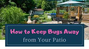 How To Keep Bugs Away From Your Patio