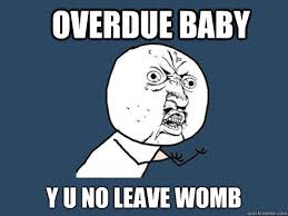 overdue Baby Y u no leave womb - Y U No - quickmeme via Relatably.com