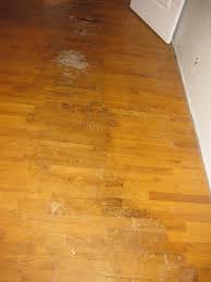 varnished wooden floor needs repair