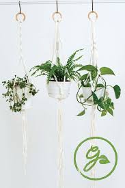 Houseplants For Indoor Vertical Gardens