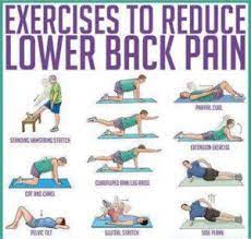 lower back exercises ease your lower