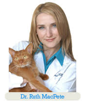 The treatment for uveitis, however, is very different from the treatment for conjunctivitis in cats, so it is critical to have. Uveitis In Cats