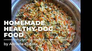 homemade dog food for chihuahua