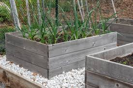 Build A Beautiful Raised Garden Bed