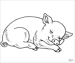 Pig coloring pages depict these creatures in cartoonish ways that appeals to kids and adults. Pig Coloring Pages Coloringbay