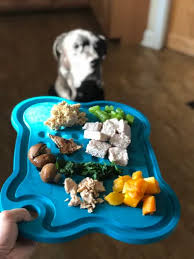 Homemade diabetic dog food meals. What Treats Can Diabetic Dogs Eat