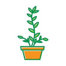 Plant Pot Logo Vector Art Icons And