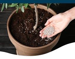 Decoding Houseplant Fertilizer What