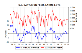Exploring The Traditional Midyear Cattle Market Price