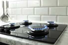 Best Gas Stove Brands In India Check