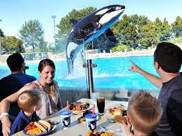 SeaWorld gambar png