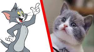 Tom & Jerry Characters In Real Life ( 2019 ) - YouTube