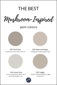 Best Mushroom Inspired Paint Colours