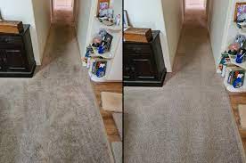 andrew pook s carpet cleaning service