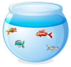 fish tank images free on freepik