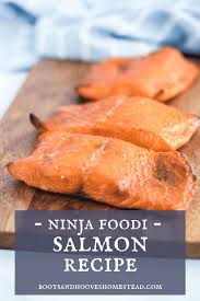 ninja foodi salmon with marinade
