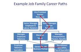 Hr Job Family Career Path Business Plan Example Human