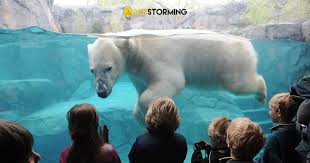 Coexist Rethinking Zoos: ripensare lo zoo di Barcellona - concorso ...