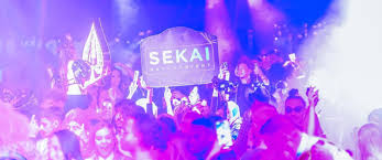 How Bottle Service and Table Service Work at Sekai Nightclub Houston [2023  GUIDE]