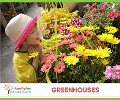 amazing saskatoon greenhouses