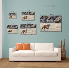 Popular Canvas Sizes On Wall Creative Images