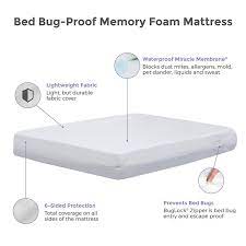 protect a bed bed bug proof 10 inch