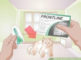 3 Ways To Administer Frontline For Cats Wikihow