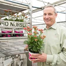 Rambo Nursery Grows Plants For Your
