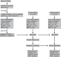 Study Flow Chart Hbv Chronic Hepatitis B Hcc