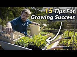 15 Vegetable Gardening Tips Every