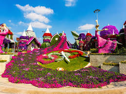 dubai miracle garden is the place to