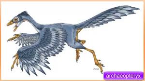 Résultat de recherche d'images pour "archeopteryx"
