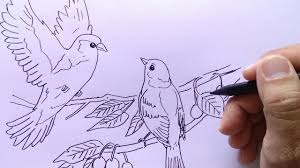 Download gambar sketsa lovebird koran madura docslide br gambar. Gambar Burung Di Pohon