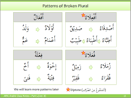 Arabic Plurals Understand Arabic Com